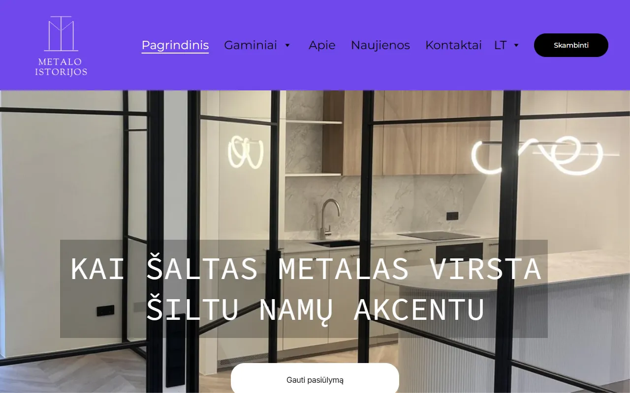 Metalo Istorijos website preview